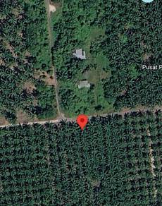 Agricultural Land in Ijok, SGR