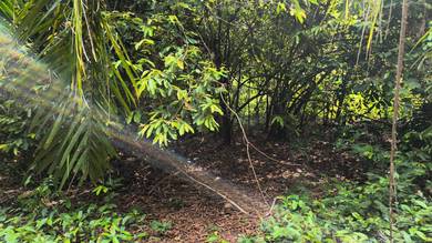 Agricultural Land in Segamat, JHR