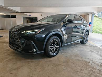 Lexus NX 250 LUXURY in Desa Petaling, KUL