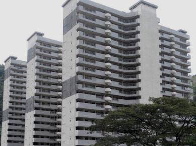 Flat For Rent in Taman Terubong Indah (Majestic Heights)