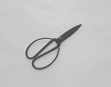 Vintage scissors