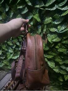 fossil originl