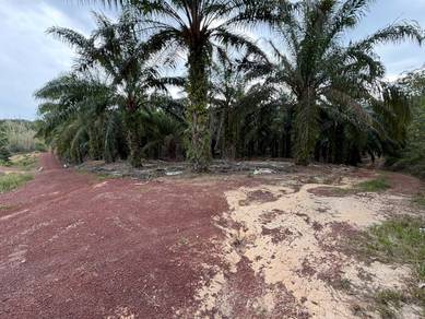 Agricultural Land in Segamat, JHR