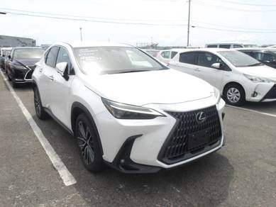 Lexus NX 250 LUXURY in Ampang Hilir, KUL