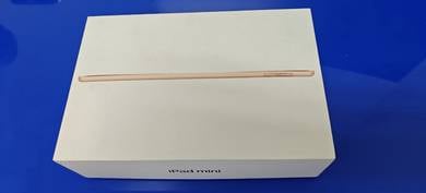 Ipad mini wifi only 