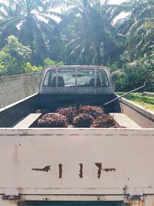 Toyota Hilux in Hulu Terengganu, TRG