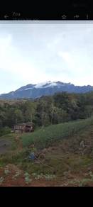 Agricultural Land in Others, SBH