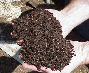 Baja Tahi Ayam / Kambing Fertilizer