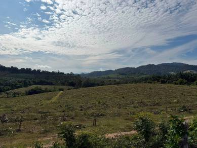 Agricultural Land in Jasin, MLK