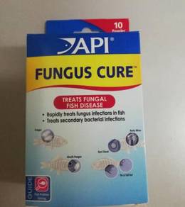 API Fungus Cure Fish Aquarium Ikan Treatment