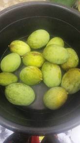 Mangga Wani Masak