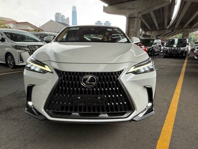 2022 Lexus NX 250 LUXURY