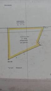 Agricultural Land in Kudat, SBH