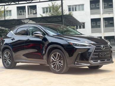 Lexus NX 250 LUXURY in Cheras, KUL