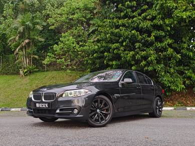 2015 BMW 520i 20i