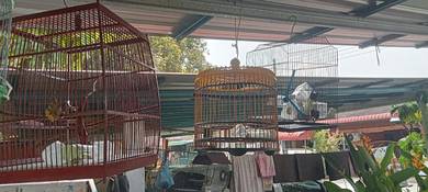 sangkar burung
