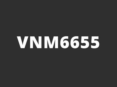 VNM6655