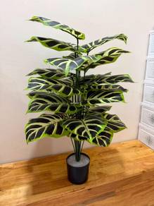 Artificial Calathea Plant in Black Pot