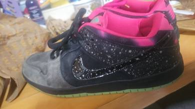 nike sb dunk low premier northern lights 