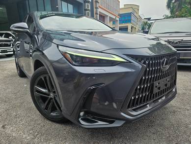 2022 Lexus NX 250 LUXURY