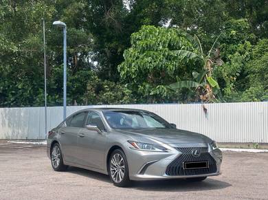 Lexus ES 250 LUXURY in Tampoi, JHR