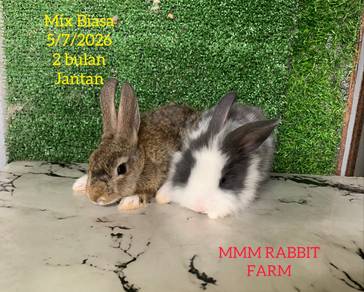 Mix Biasa