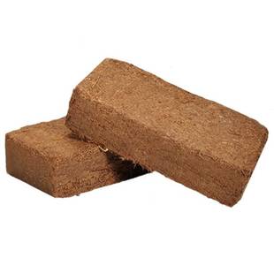Coconut brick kelapa bata x 50pcs