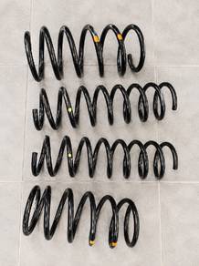 spring standard myvi fl