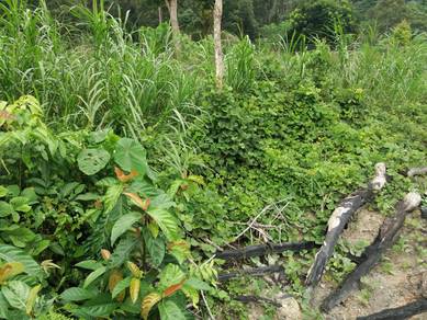 Agricultural Land in Jelebu, NSN