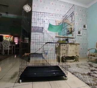 Sangkar 3 Tingkat Cat Lovers
