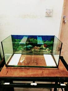 2ft aquarium.