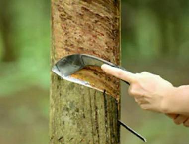 Antique Rubber Tapper Knife