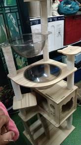 Tempat mainan kucing