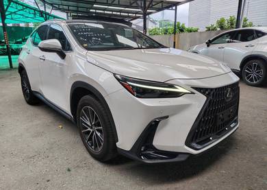 Lexus NX 250 LUXURY in City Centre, KUL