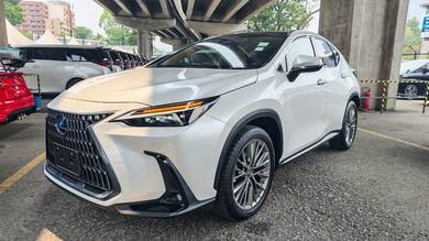 Lexus NX 250 LUXURY in Cheras, KUL