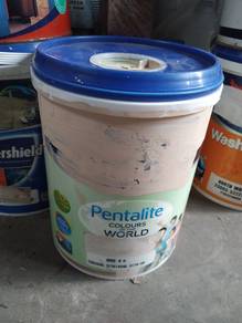 5L Dulux pentalite interior paint(green grape