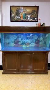 Aquarium 5 Feet