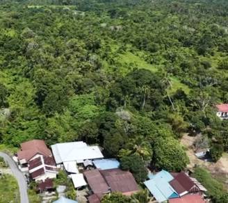 Agricultural Land in Balik Pulau, PNG