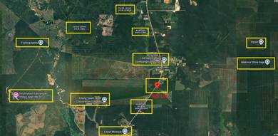 Agricultural Land in Pekan, PHG