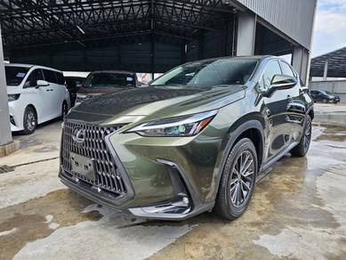 Lexus NX 250 BASE GRADE in City Centre, KUL