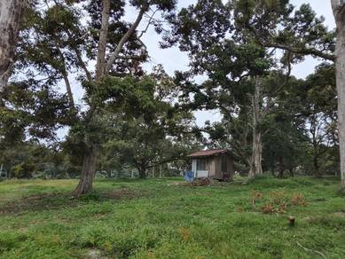 Agricultural Land in Bemban, MLK