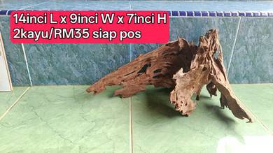 driftwood set 2pcs form 30cm-60cm tank