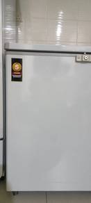 Snow Freezer 230L