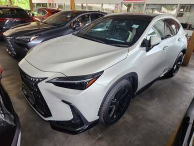 2023 Lexus NX 250 LUXURY