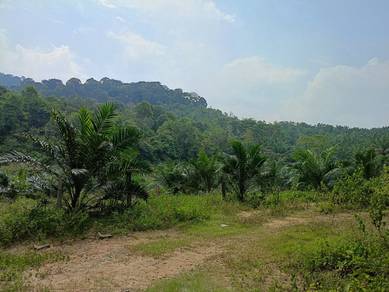 Agricultural Land in Kuala Kangsar, PRK