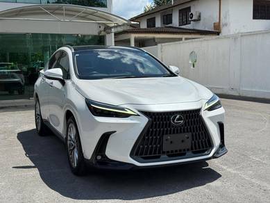 Lexus NX 250 LUXURY in Kuching, SWK