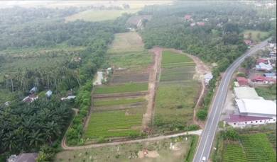 Agricultural Land in Gurun, KDH