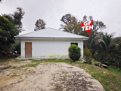 Agricultural Land in Kulim, KDH