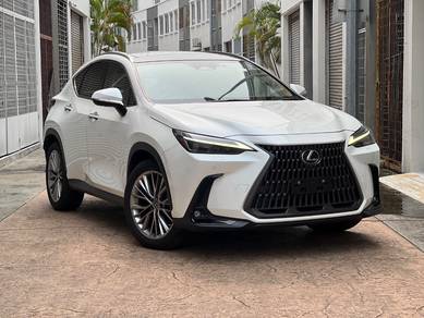 2023 Lexus NX 250 LUXURY