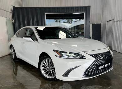 2022 Lexus ES 250 LUXURY